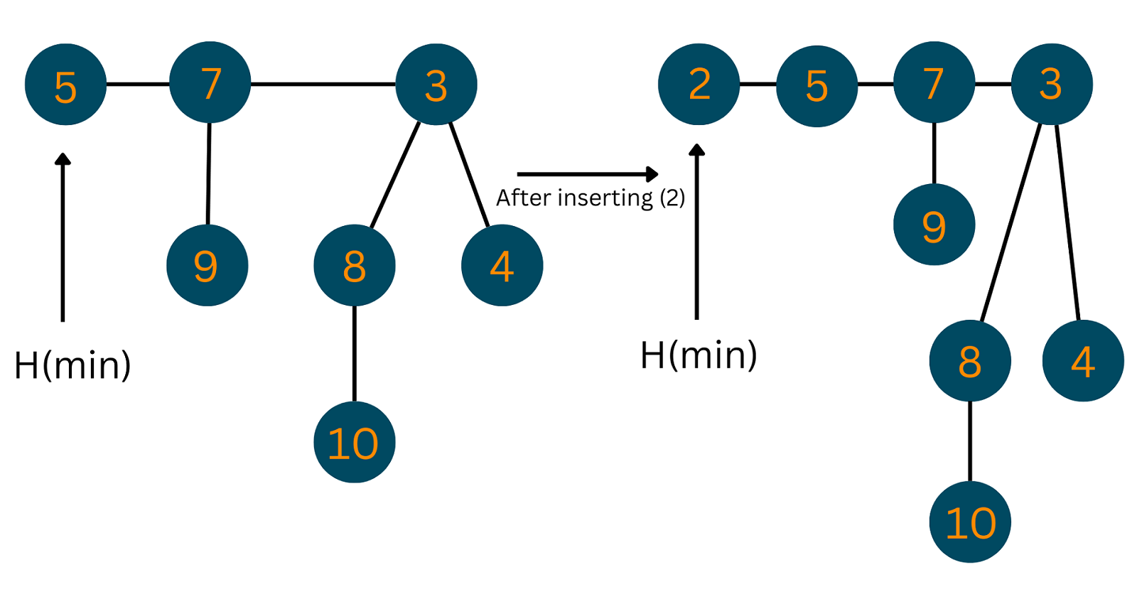 insertion in fibonacci heap